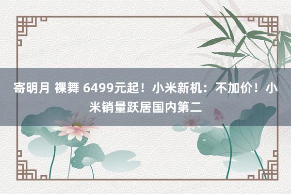 寄明月 裸舞 6499元起！小米新机：不加价！小米销量跃居国内第二