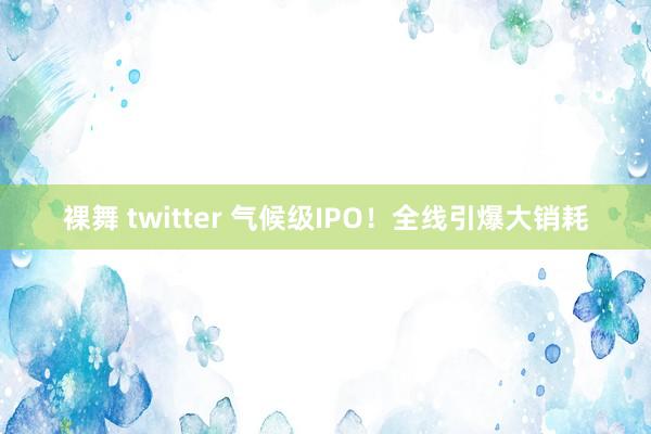 裸舞 twitter 气候级IPO！全线引爆大销耗