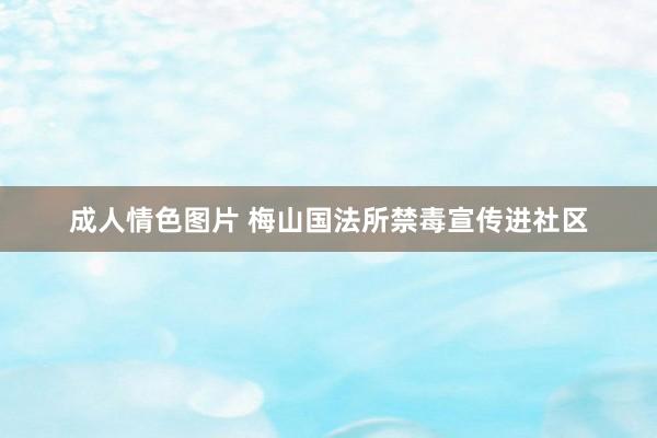 成人情色图片 梅山国法所禁毒宣传进社区