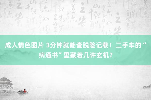成人情色图片 3分钟就能查脱险记载！二手车的“病通书”里藏着几许玄机？
