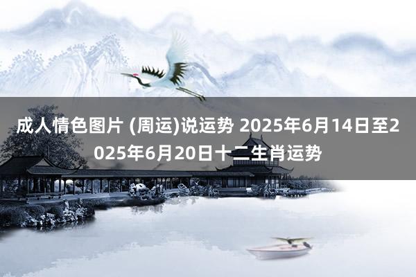 成人情色图片 (周运)说运势 2025年6月14日至2025年6月20日十二生肖运势