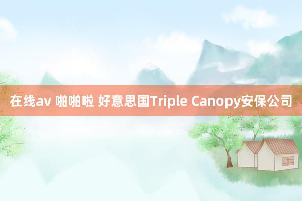在线av 啪啪啦 好意思国Triple Canopy安保公司