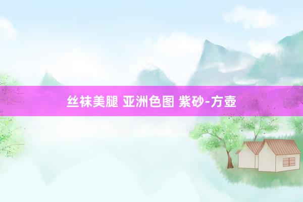 丝袜美腿 亚洲色图 紫砂-方壺